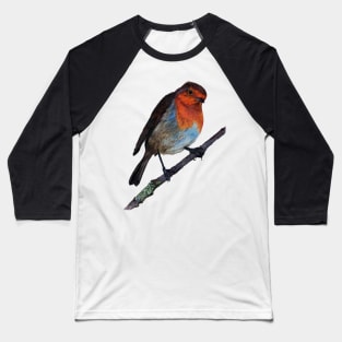 Robin Redbreast Coloured Pencil Drawing Baseball T-Shirt